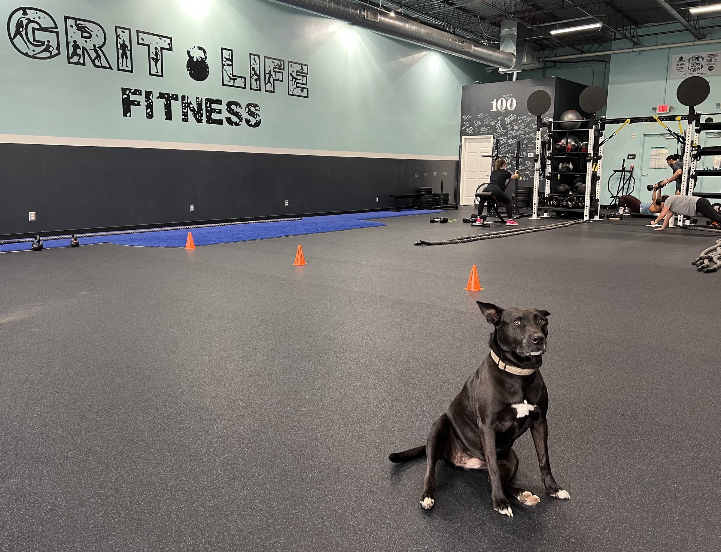 Contact Our Gym in Canton GA