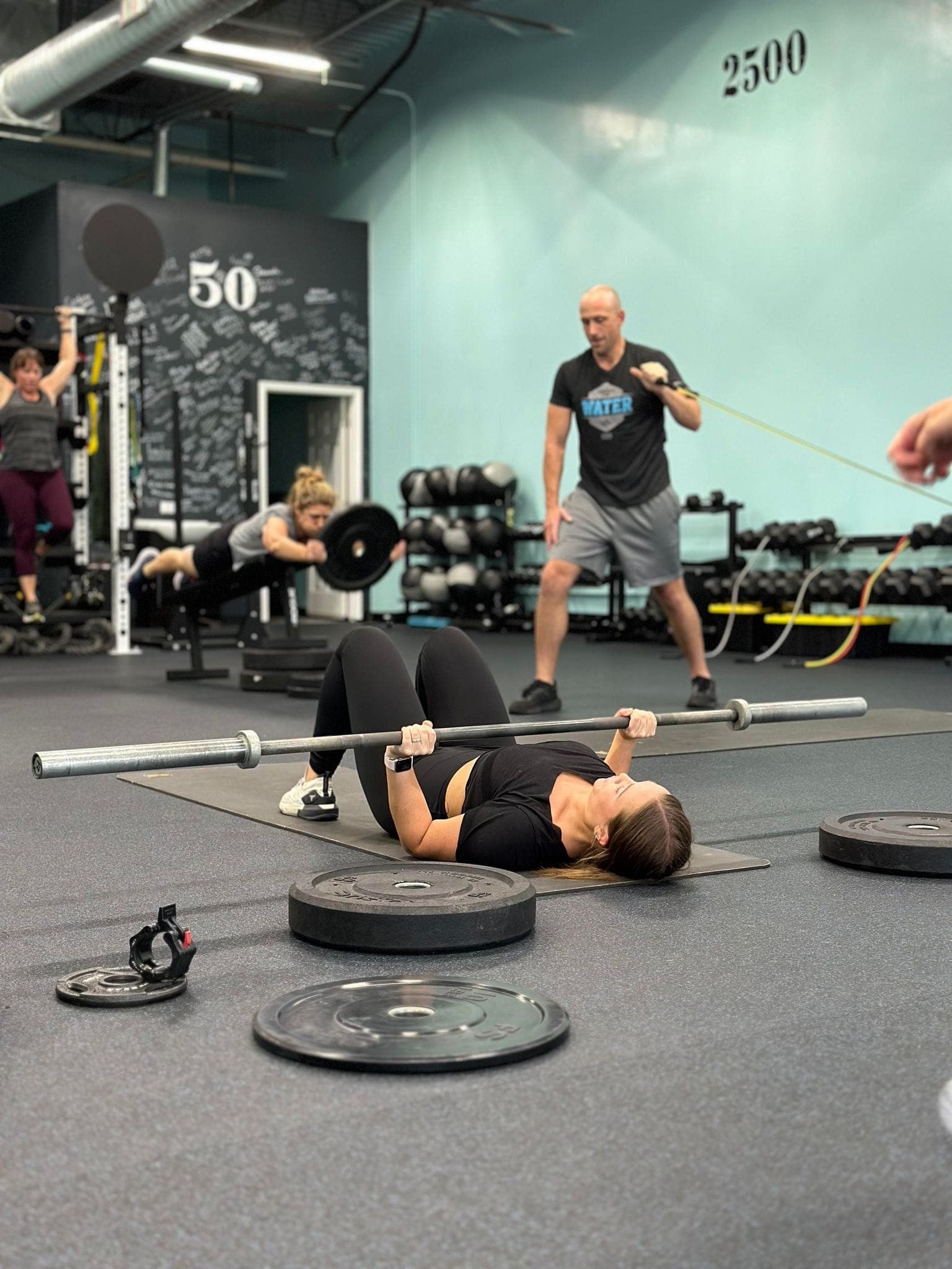 The #1 Gym in Canton, GA